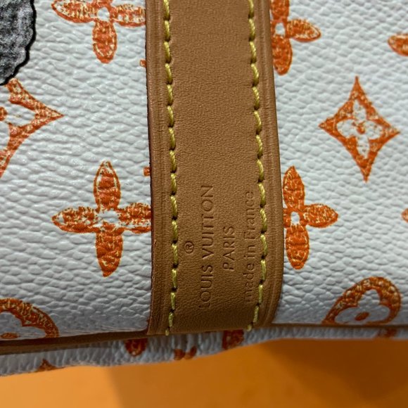 ❌EXCLUSIVE Louis Vuitton Catogram Speedy White Bag - Picture 12 of 14